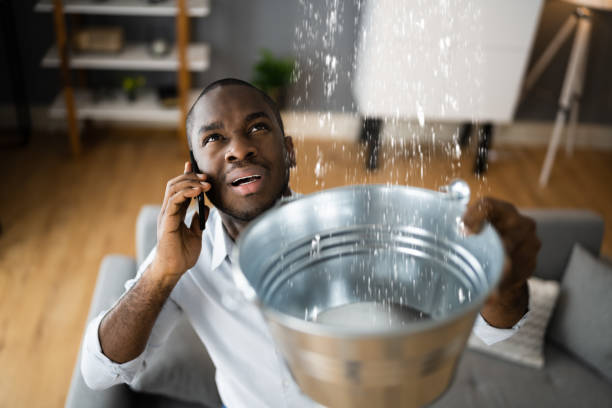 Best Water damage contractors near me  in Swarthmore, PA