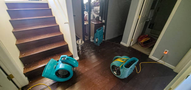 Best Local water damage restoration  in Swarthmore, PA