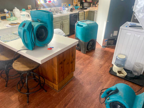 Best Basement water damage restoration  in Swarthmore, PA