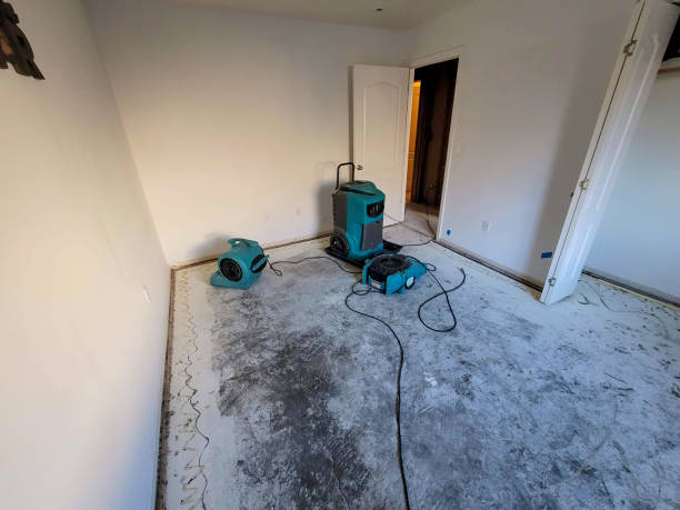 Best Basement water damage restoration  in Swarthmore, PA