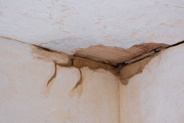 Best 24-hour water damage restoration  in Swarthmore, PA