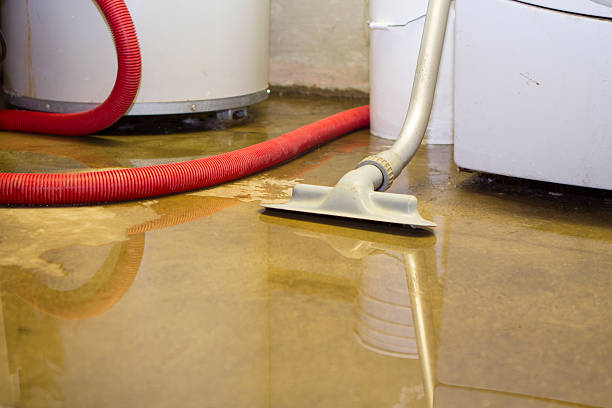 Best 24-hour water damage restoration  in Swarthmore, PA