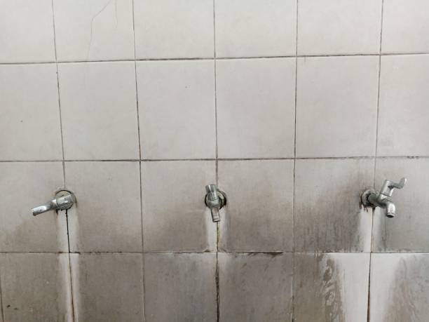 Best Water damage repair service  in Swarthmore, PA